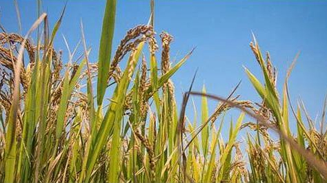 �ຣʡ����Ӌ�l(f��)�Ÿ���ھ���(zh��n)��ؚ�J��1665.5�|Ԫ