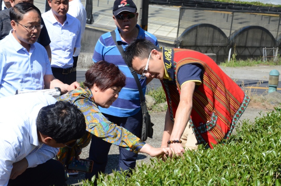 ���Ͽh�F(xi��n)���r(n��ng)�I(y��)�c�l(xi��ng)�����ο���F(tu��n)���_(t��i)����ɹ��S�T