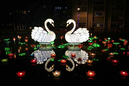 參展燈組“天鵝湖” 參展燈組“天鵝湖”
