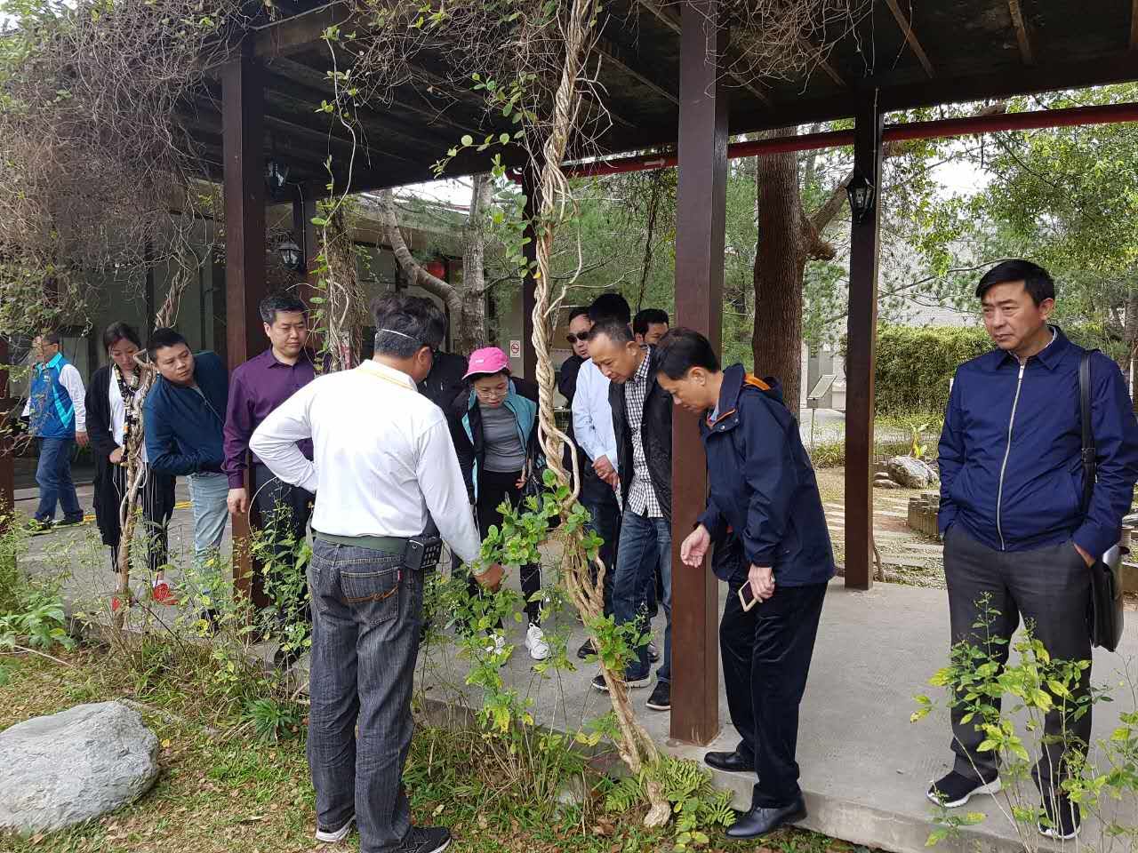 ����F(tu��n)���L�������g�r(n��ng)��