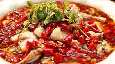 ����ϵĴ��ˣ��ٲ˰�ζ��ζ�����g