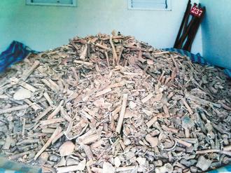 �_(t��i)���l(f��)�F(xi��n)��ǧ�o���׹ǂ��������������xʿ���D��