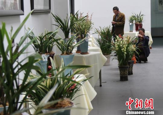 �_(t��i)���mչ25���ڏV�|혵�ꐴ廨�������Ļ��չ��500�����_(t��i)���m��