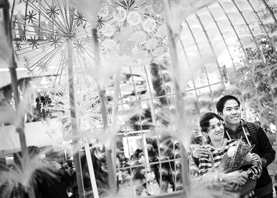 �N��(li��n)���ű�������ζ��Խ�ɰ��ĵ�