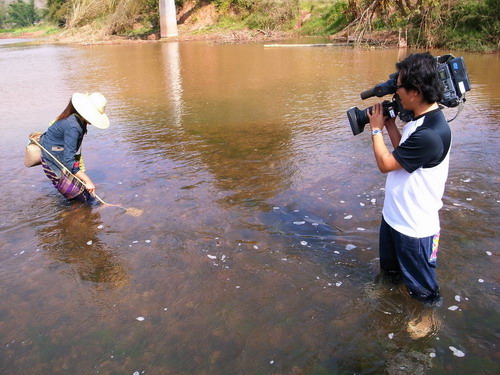 �_(t��i)�������ҕ�_(t��i)�����p��{���Ĕz��(ji��)Ŀ