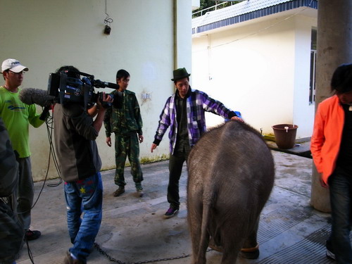 �_(t��i)�������ҕ�_(t��i)�����p��{���Ĕz��(ji��)Ŀ