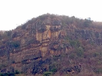 �����������x��ɽ������Ę����������Ҋ�������_ý