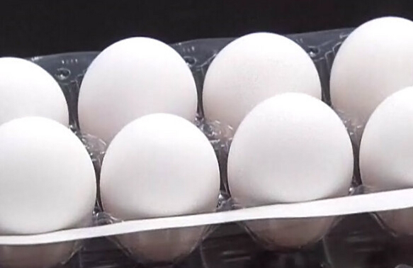 �_���ߜ�?z��)����u�����r�j�������~������F��Ʒ�����_ý�D��