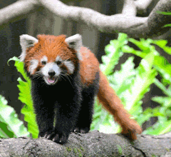 ����С��؈�g�g�_(t��i)������