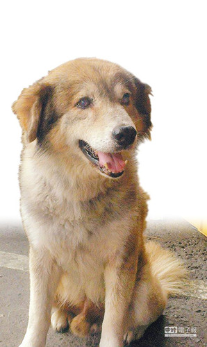 ���յ�����굫���\(y��n)�ػ����ˑѱ��ġ��q�q�������Еr(sh��)��ӈ�(b��o)���D