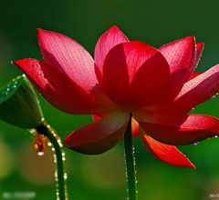 �ɰ�ý�w���M(j��n)��ꖣ��ǘ�Ʒζ ��̫�������߲���(d��ng)��