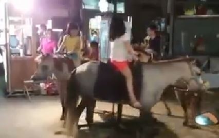 �_(t��i)����(l��)�Aҹ���@Ҋ(ji��n)�����w���D(zhu��n)ľ�R���W(w��ng)������̫���������_(t��i)ý�D��