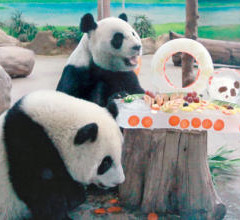 ٛ(z��ng)�_(t��i)����؈�F(tu��n)�F(tu��n)���A�A�^(gu��)10�q���մ�е��⣨�D��