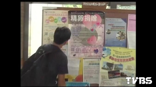 臺灣捐卵人數(shù)增至500人一人最多可得2萬營養(yǎng)費