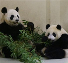 ��؈���A�С������~��Ę�ϴ� �ஔ(d��ng)��Ȥ���D��