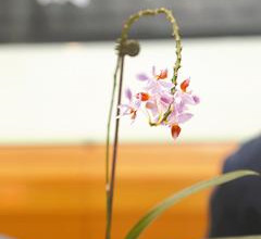 �_���ɹ���W�ƽ��m�������g�a ϵȫ������