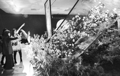 �D���_(t��i)�����������ˡ��廨ˇ�g(sh��)չ