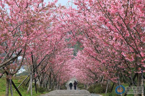 ��Ͷ��Ȫ���ܼ����Aļ����(��i)�H�ؾ����M(f��i)�Ļ鼆��