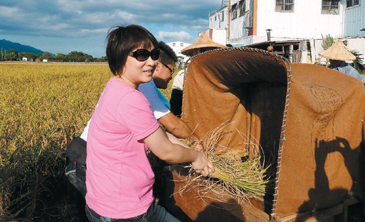臺東旅游結合種稻吸引游客體驗(圖)