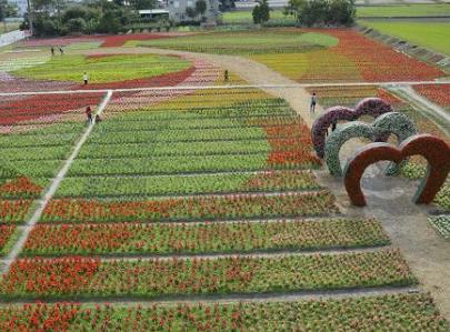 �_�|���νY(ji��)�ϷN�� �����ο��w�