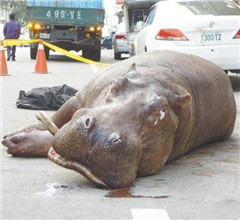 �_(t��i)�����Ǻ��R��ˤ����