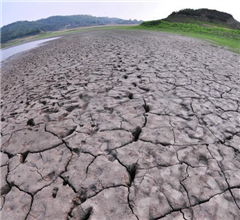 ��ʮ�꺱Ҋ(ji��n)���� �_(t��i)�����(xi��ng)�e�둪(y��ng)��(du��)