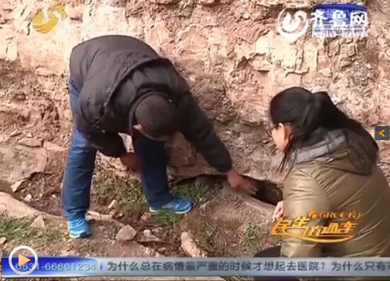 �u���Џ��f�(zh��n)��Ѳɽ�T�τ���Ѳ߉���P��ɽ��𸽽��r�l(f��)�F���~����ҕ�l�؈D��