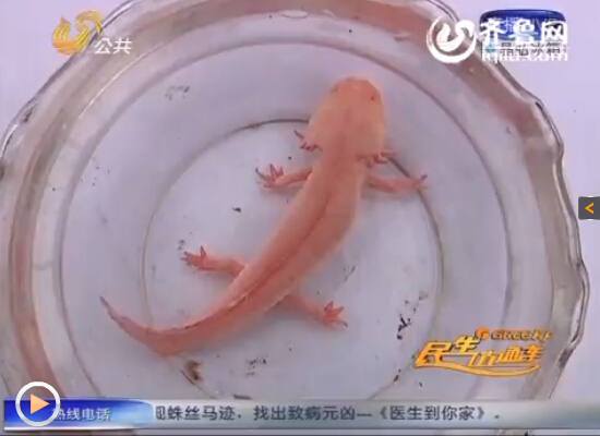 �����~��ȫ��]���[���ʷۼtɫ����ҕ�l�؈D��