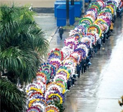 �V��һ����У�L(zh��ng)�z�w���� �̈́e�(du��)��d�Ӕ�(sh��)����