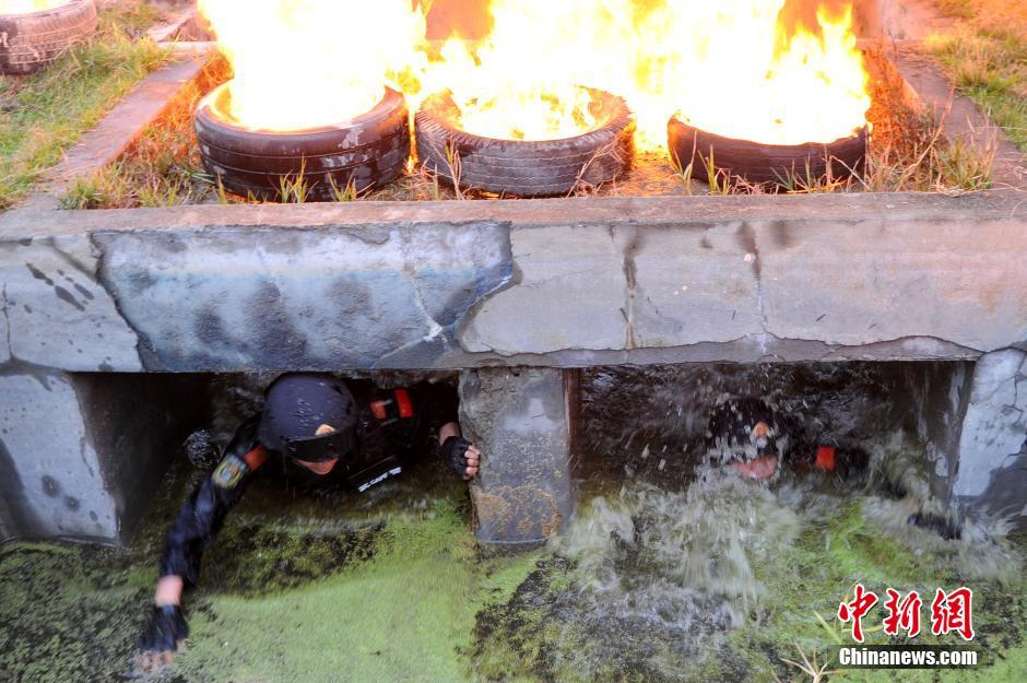 �侯�ؑ�(zh��n)����8���_ِ ������ꠚ����Ӗ(x��n)�x��Ӣ