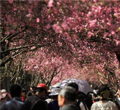 �������Σ���(gu��)��(n��i)ʮ�����΄ٵز����e(cu��)�^(gu��)