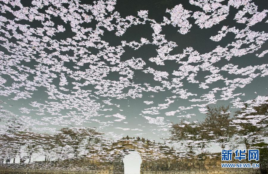 �������g������