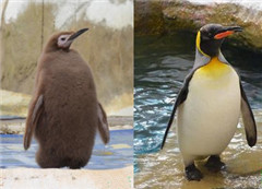 �_������@�������Z�Q��ë ݆���]�P(gu��n)��Ҋ��