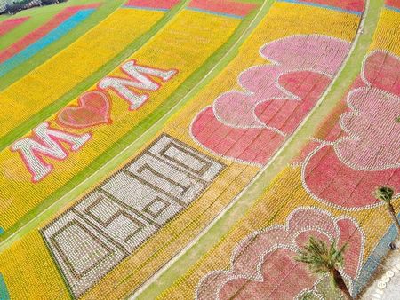 基隆文創(chuàng)園為迎接母親節(jié)12萬(wàn)支風(fēng)車拼成巨幅康乃馨