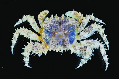 �D���ɷN���з�F(xi��n)ۙ�_��