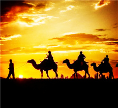 �ػͬF(xi��n)����� ��ϼ�Ӱ���@��ɫ�L��