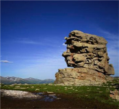 �½����{˹�l(f��)�F(xi��n)�|��ŵ��к������zַ