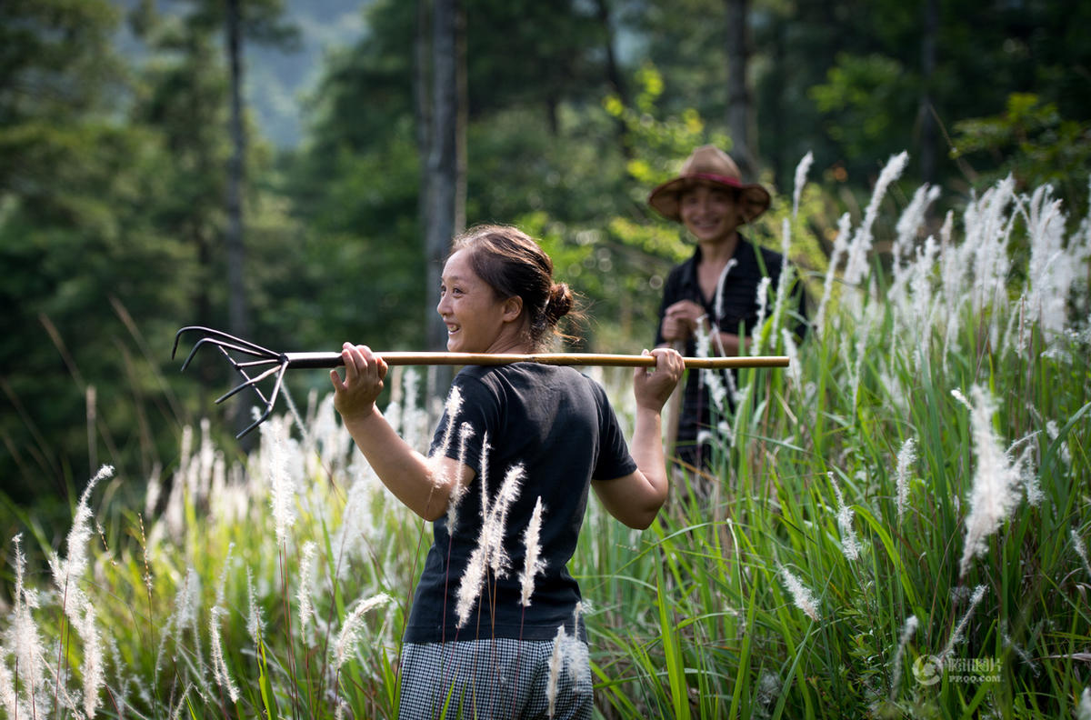 �����[����ɽ18�� ���o�f��ɭ��