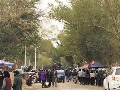 青海野生黑枸杞身價(jià)飛漲 1斤被炒至上萬(wàn)元