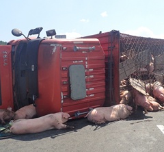 �\(y��n)�i܇��(c��)�� ���ࡰ�����֡����[����