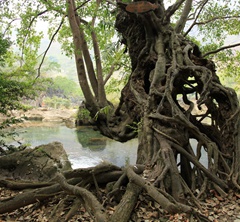 �B�T���B�����Ř�����^������L50�׏�19���L��4��