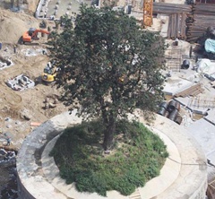 ��������f�Ǹ��� ��400�f���o323�q�Ř�(�D)