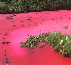 �V�|���ݬF(xi��n)��Ѫ�ӡ� �W(w��ng)�Ѻ��h(hu��n)�����L����Ӿ