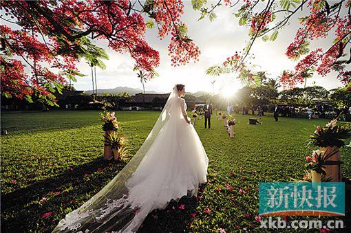 陸川喜獲愛子微博報喜:小葫蘆皮膚白皙(圖)