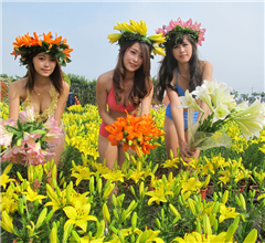 �_�����õ͜�ʹ���Ժ��m�İٺϻ���ǰ�_��