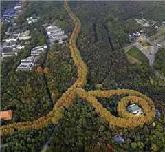 �Ͼ����g�m�F(xi��n)�������(xi��ng)朡����^