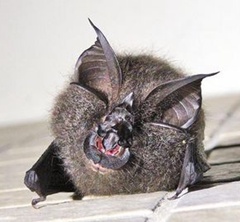 �_(t��i)����(d��ng)��@ӭ��������