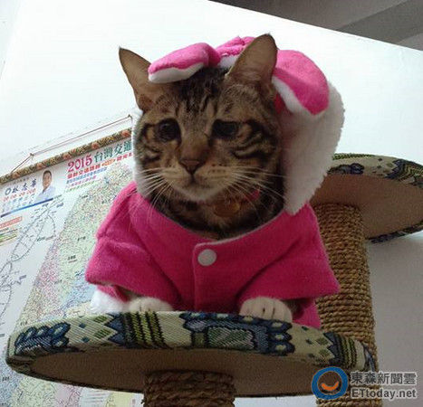 ��������ܟo(w��)�������DƬ��(l��i)Դ���_(t��i)��ETtoday�|ɭ���ƾW(w��ng)վ��