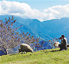 �_�u���ģ����e�r(n��ng)�I(y��)�愓(chu��ng)�� �ؽ����������