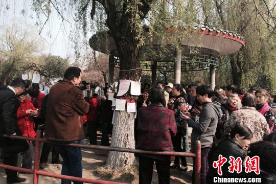 南昌現(xiàn)“父母代相親”場景專家:尋緣還得親自出馬(圖)